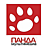 Панда