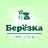 Берёзка
