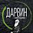 Ланчерия Дарвин, кофейня