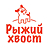 Рыжий хвост