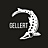#GELLERT_RESTAURANT