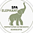 SPA Elephant