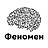 Феномен, шахматная школа