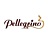 Pellegrino
