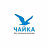 Чайка