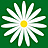 MEGAFLOWERS, сеть салонов цветов