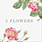 5 Flowers, цветочный дисконт-центр