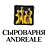ANDREALE, ресторан-сыроварня