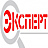 Эксперт