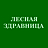 Лесная Здравница