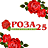 Роза 25, цветочная сеть
