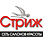 Стриж