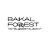 Baikal Forest
