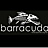 Barracuda