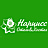 Нарцисс