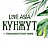 Кунжут, кафе