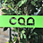 Сад