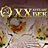 XX век