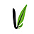 VitFit