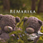 Remarika