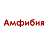Амфибия