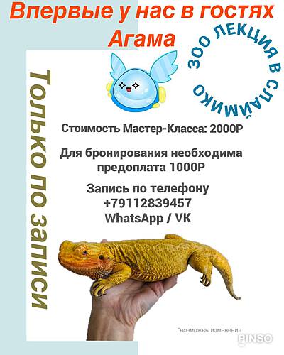 IMG_0400.JPG