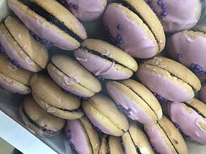 IMG_0813.jpg