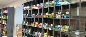 IMG_20241111_163359_743.jpg