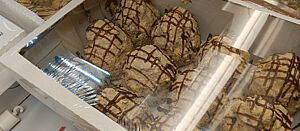 IMG_20241128_174433_840.jpg