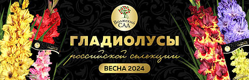 007268d6-3866-446a-9f3a-be604cacfa36